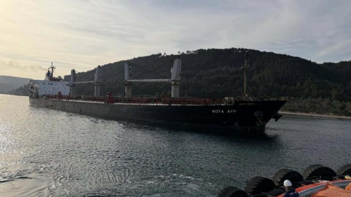 Çanakkale Boğazında makine arızası yapan dökme yük gemisi karaya oturdu