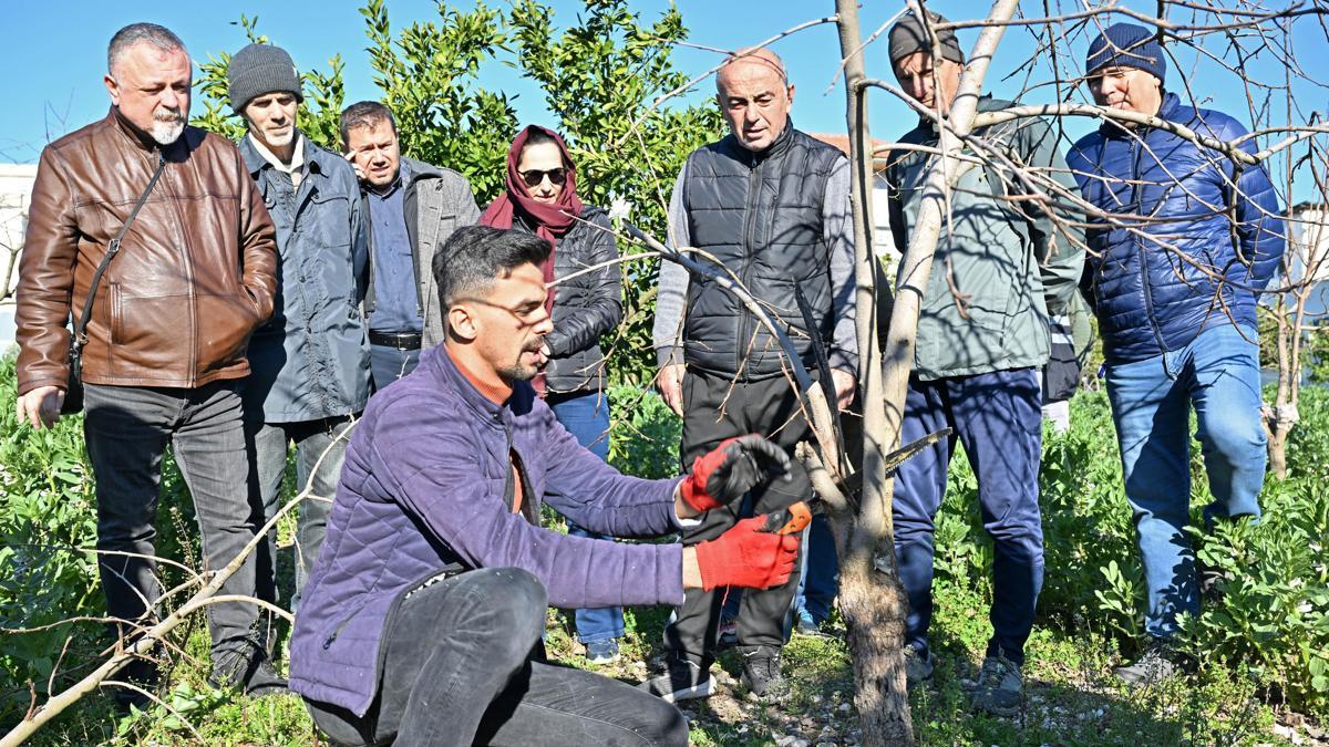 ATASEMde uygulamalı ağaç budama eğitimi