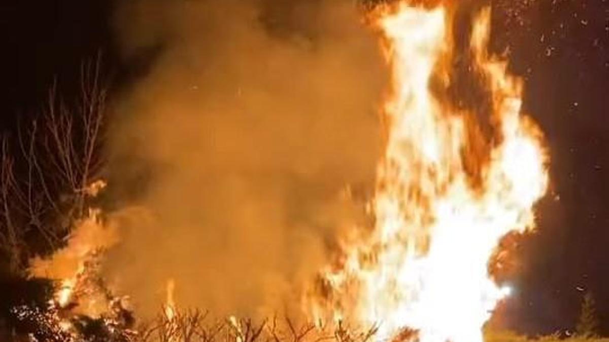 Parkta çıkan yangında ağaç zarar gördü