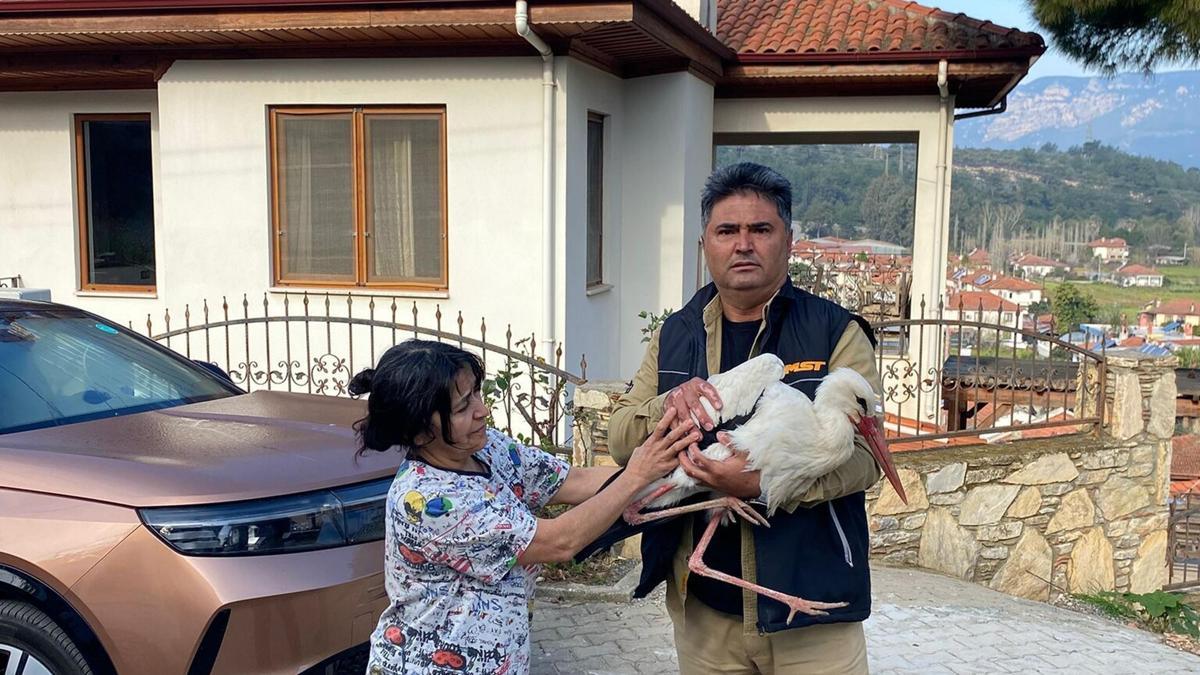 Bitkin düşen leylek, tedaviye alındı