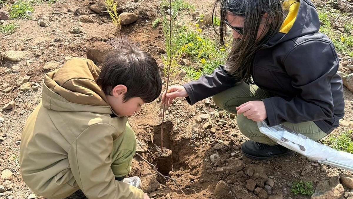 Muğla'da gönüllülerden doğaya 2 bin fidan