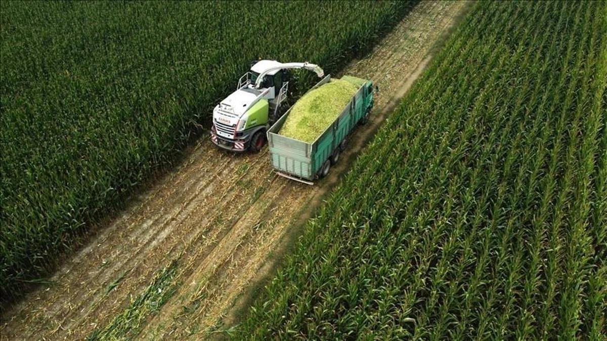 TÜİK: Tarım üretici fiyatları şubatta arttı