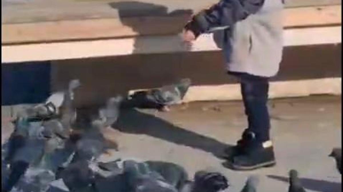 Çöp kamyonun altında kalıp ölen Serhatın son görüntüleri ortaya çıktı