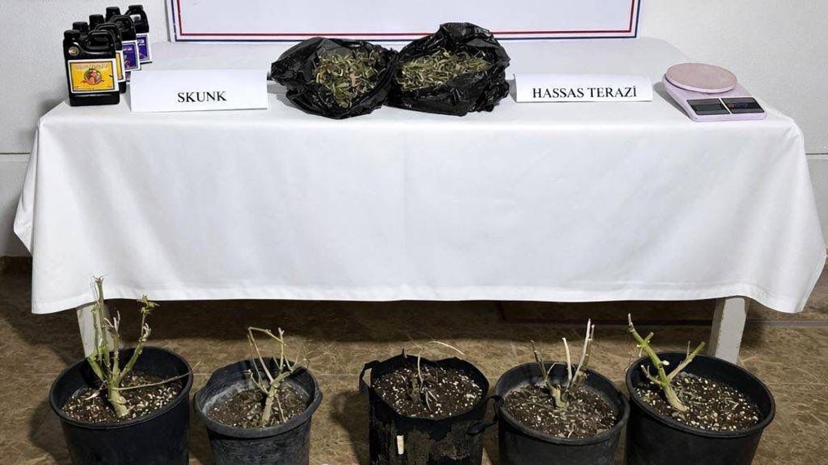 Aksuda serada uyuşturucu üretimine operasyon