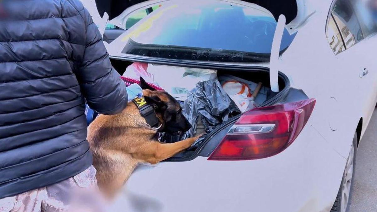 73 ilde uyuşturucu operasyonu; 475 tutuklama