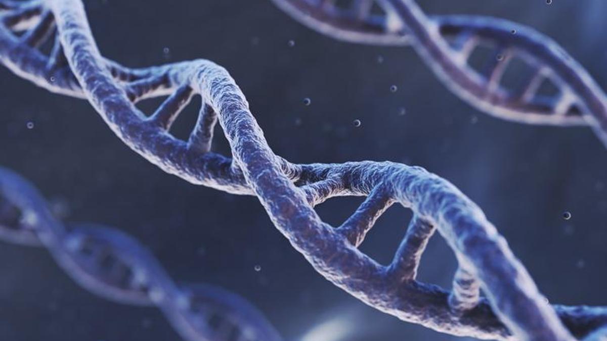 Bilimsel araştırmalar ortaya koydu: Kadınlar erkeklere oranla 5-7 sene daha uzun yaşıyor