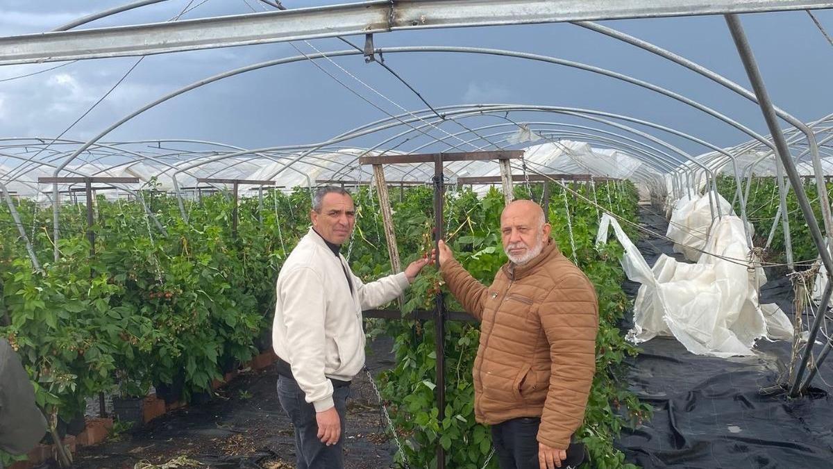 Mersin'de dolu ve fırtına seraları vurdu