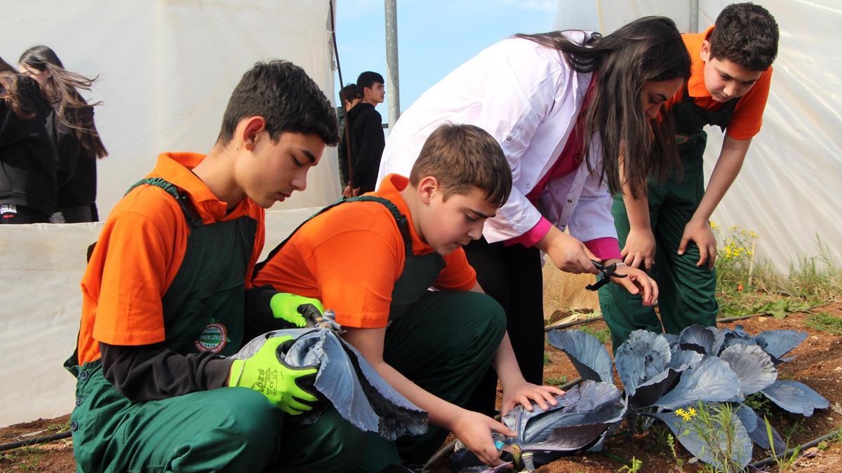 Çukurovada geleceğin ziraatçileri tarım lisesinde yetişiyor