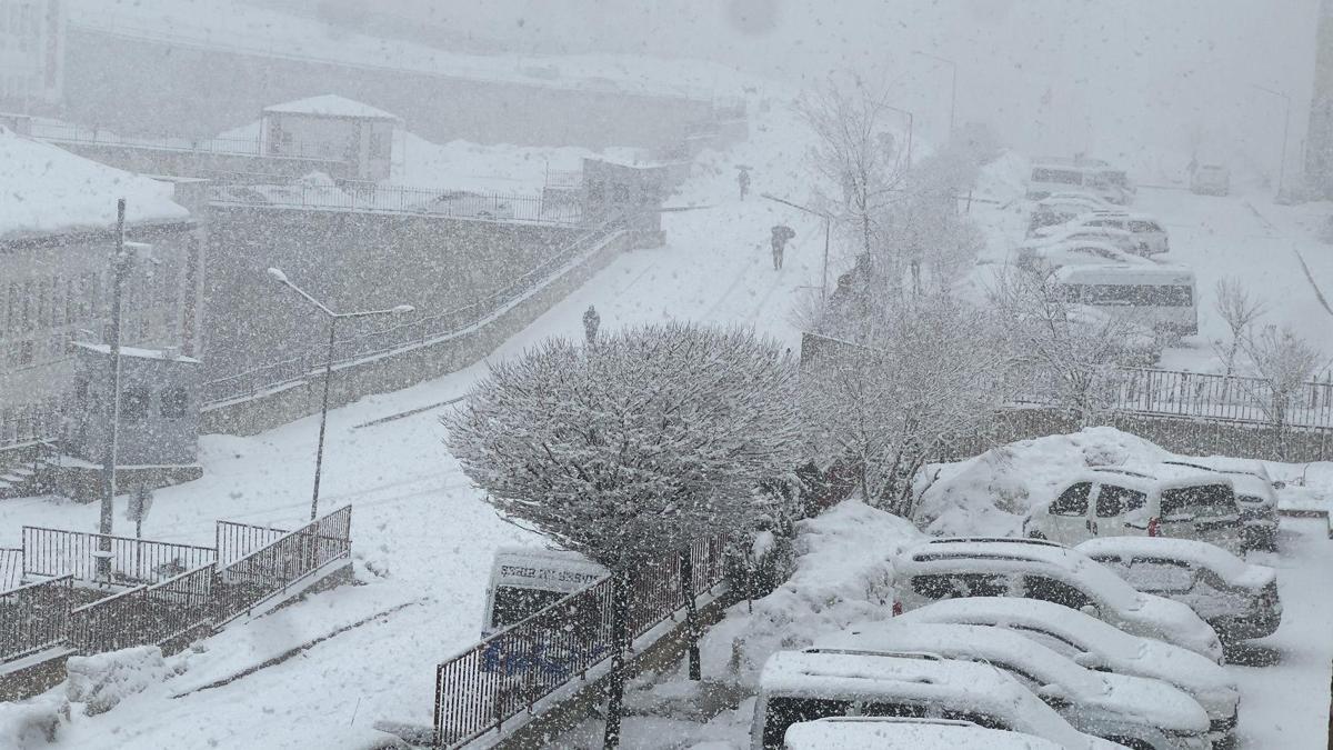 Yüksekova'da kar yağışı etkili oldu