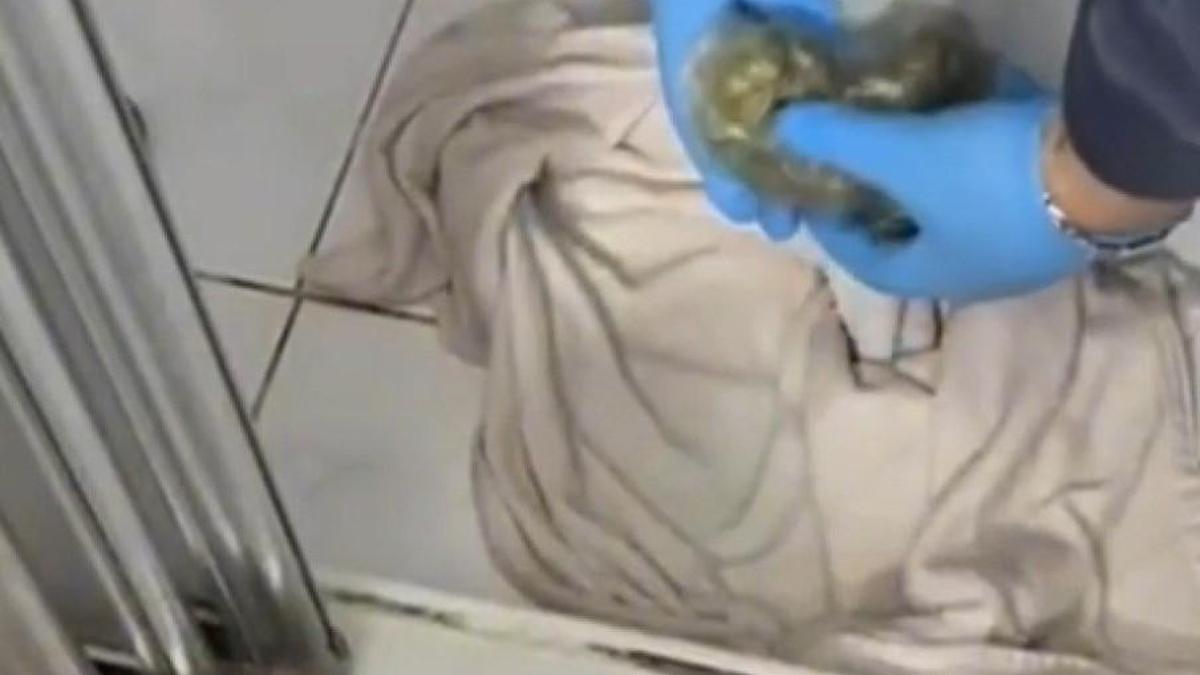 İstanbul - Maltepe'de uyuşturucu operasyonu: 1 tutuklama