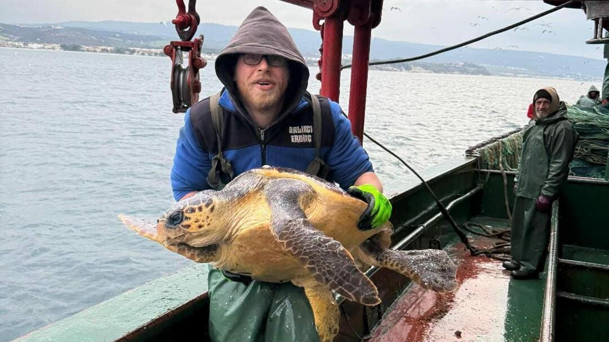 Çanakkale'de balık ağına takılan caretta caretta kurtarıldı