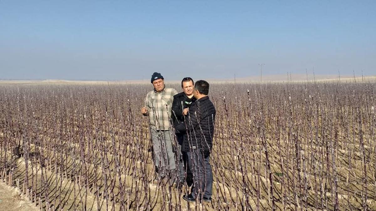 Meyve üreticilerine sertifikalı fidan uyarısı