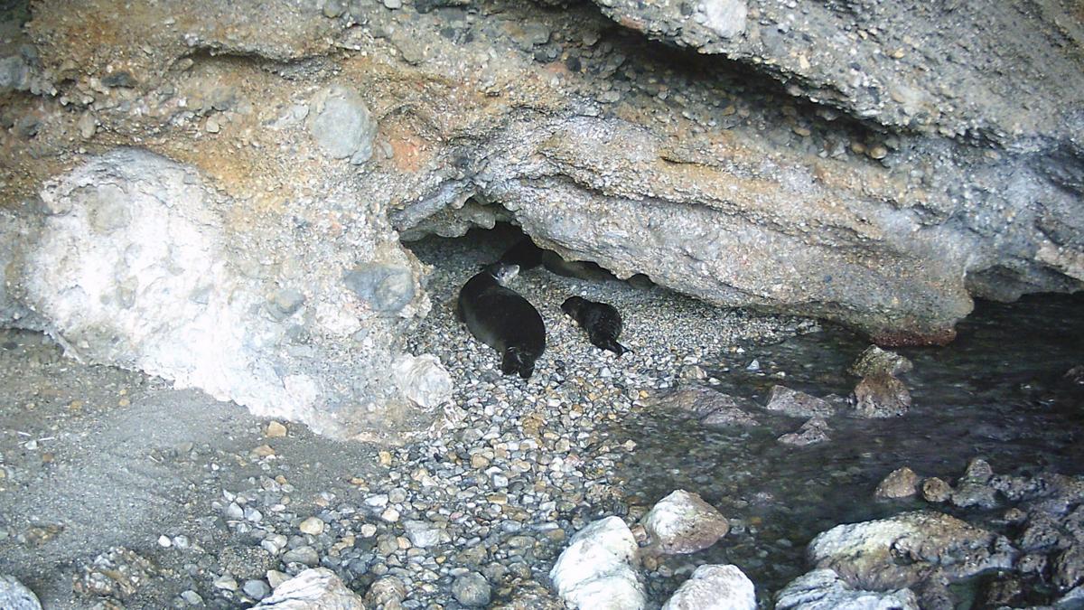 'Kıyı mağaraların korunması hayati önem taşıyor'