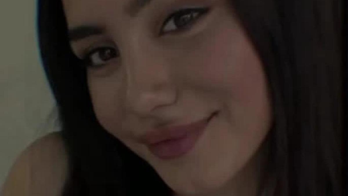 Aleyna'nın cinayet şüphelisinin ağabeyi de eski eşini öldürmüş