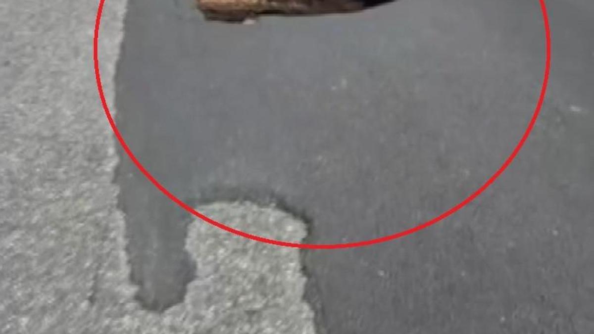 Diyarbakırda çöken yolda 1 metrelik çukur oluştu, trafik kilitlendi