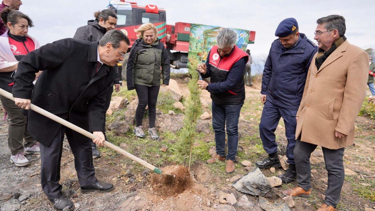 Burhaniye'de 315 fıstık çamı toprakla buluşturuldu