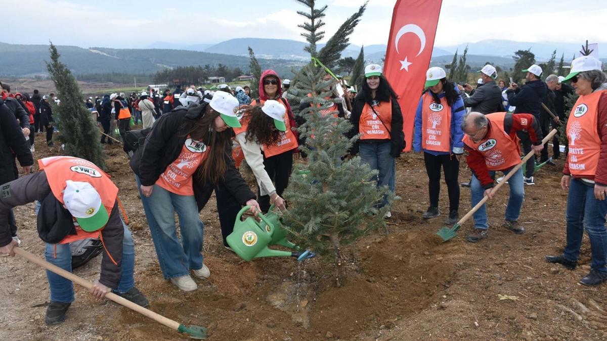 İzmir'de yanan alanda 15 bin fidan toprakla buluşturuldu