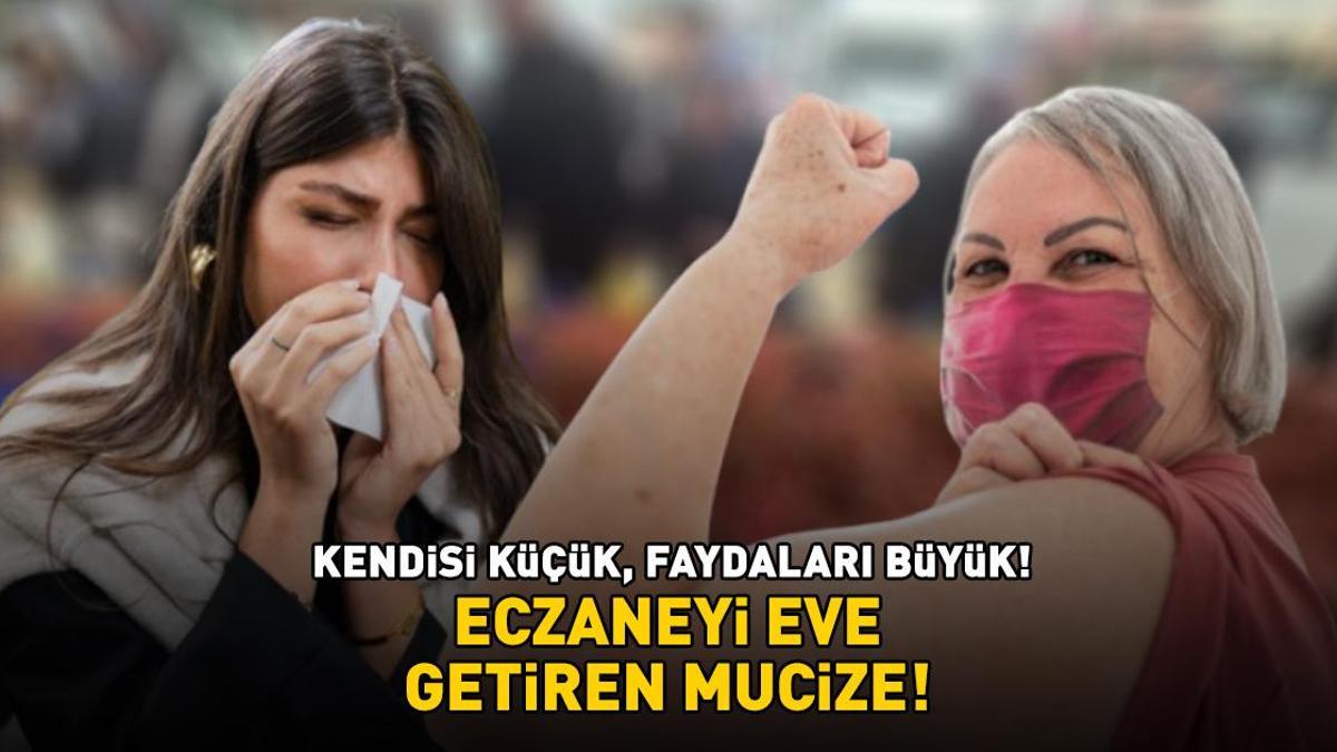 Kilosu 80 TL! Eczaneyi eve getiren mucize: Güçlü bir antioksidan kaynağı! Vücudu hastalıklara karşı koruyor, bağışıklığı destekliyor