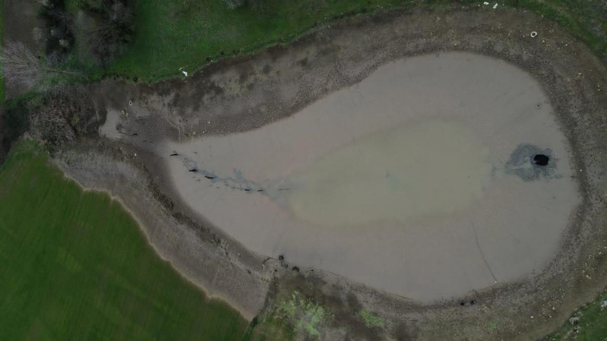 Göletin suyu boşalınca balıklar açıkta kaldı