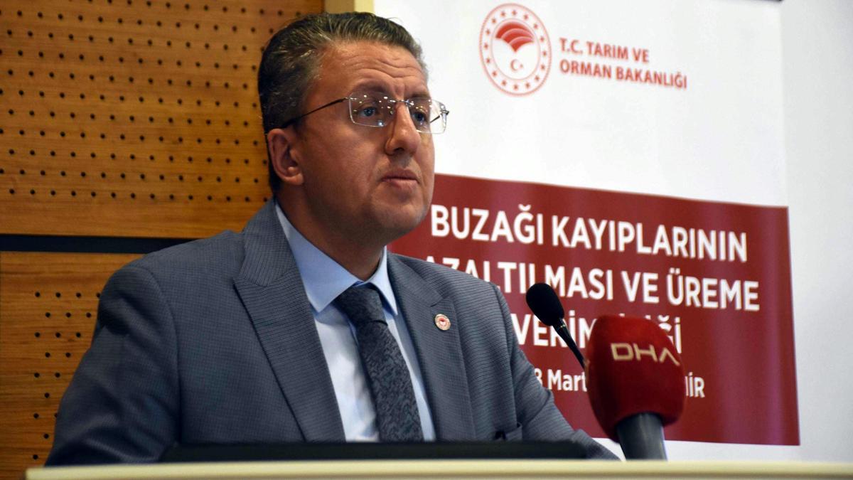 'Buzağı kayıplarının azaltılması hayvancılıkta stratejik öneme sahip'