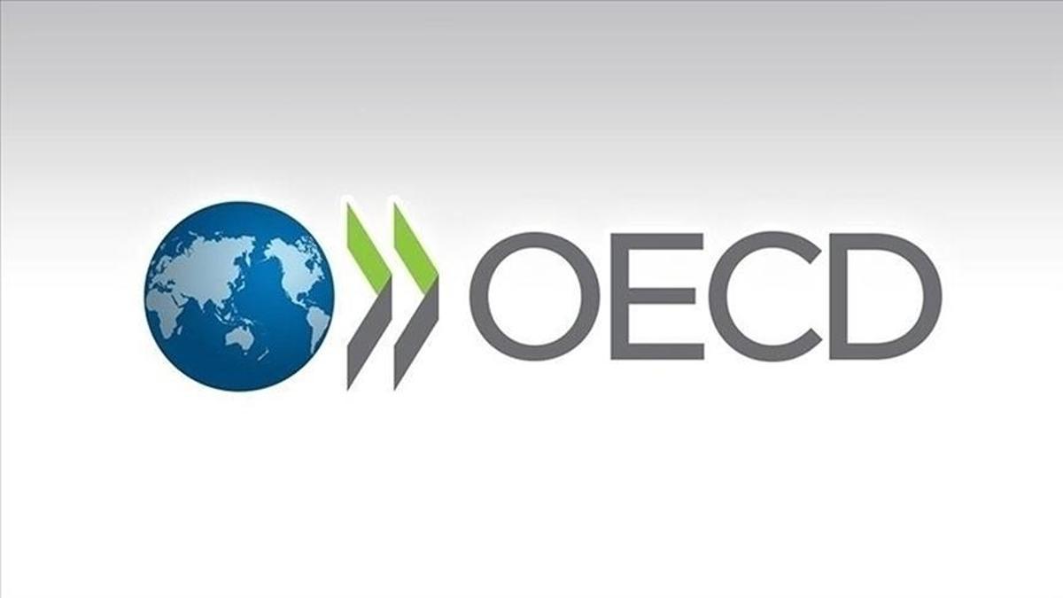 OECD Raporu: Enerji fiyat şokları enflasyonu ve büyümeyi etkileyebilir