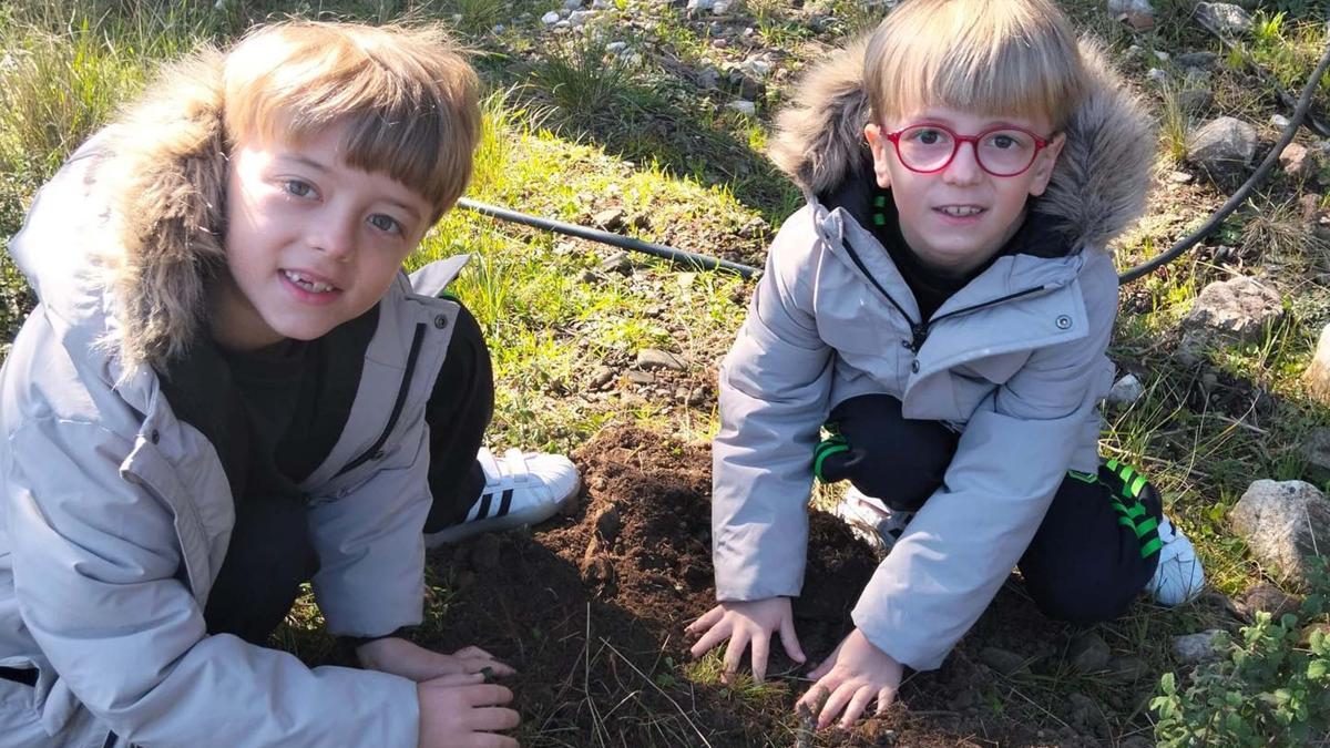 Öğrenciler Kazdağlarında fidan dikti