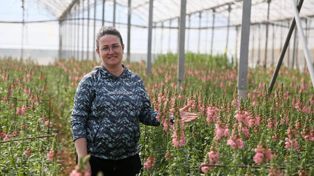 Antalya'dan Avrupa'ya yeni çiçek: Aslanağzı