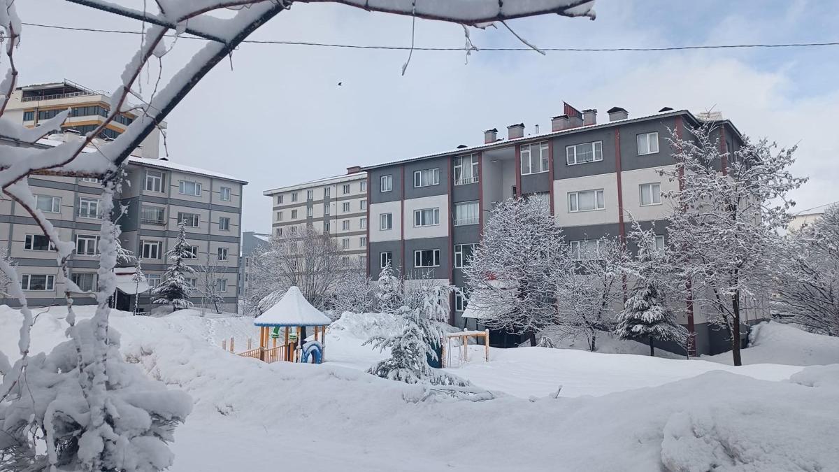 Bitliste kar yağışı