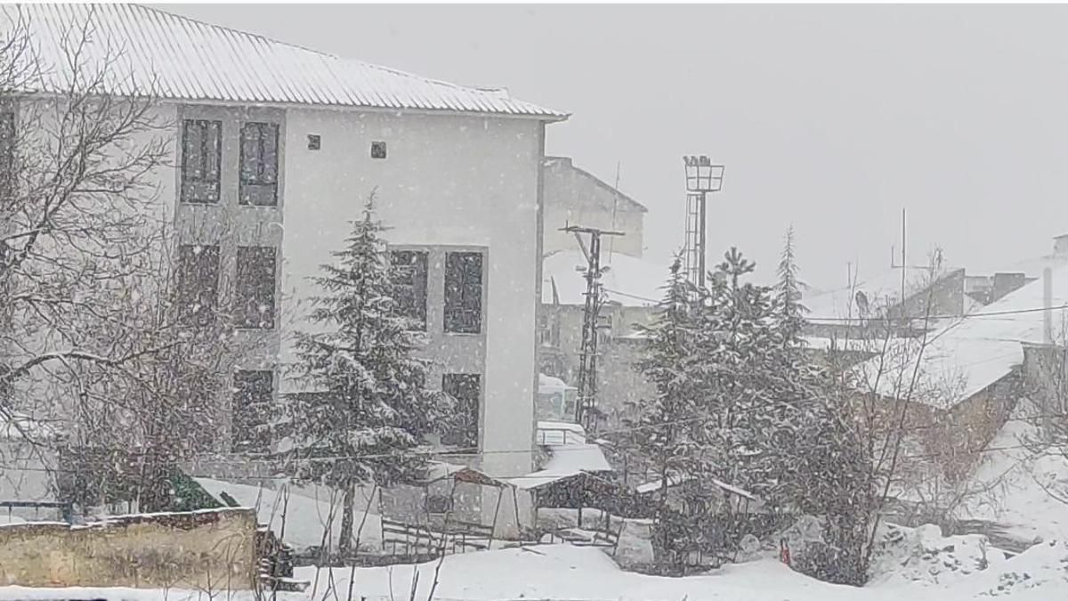 Karlıova’da kar yağışı etkili oldu