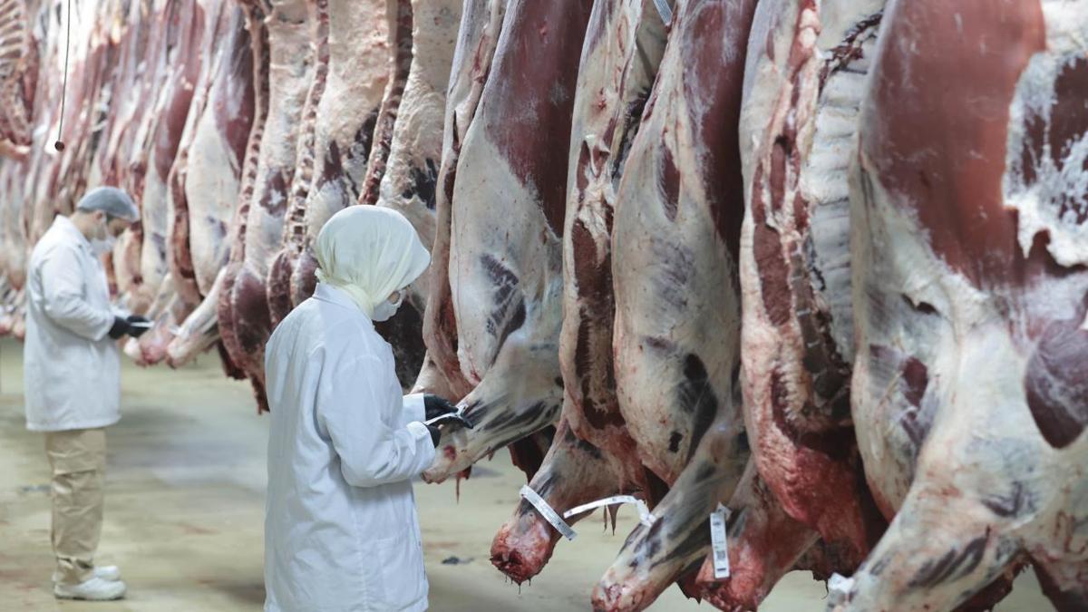 Ankara merkezli 8 ilde 'kırmızı et' operasyonu: 30 şüpheli gözaltına alındı