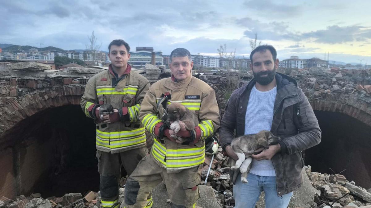 Turgutluda kuyuya düşen 3 yavru köpeği itfaiye kurtardı