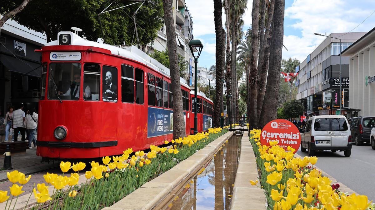 Baharın müjdecisi laleler Antalya sokaklarını renklendirdi