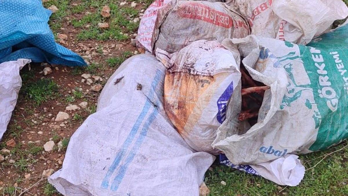 Şanlıurfa´da çuvallarda kesilmiş at başı bulundu
