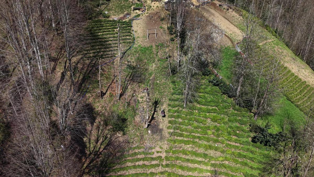 110 metrelik yolu olmadığı için evine 20 yıldır ilkel teleferikle gidiyor