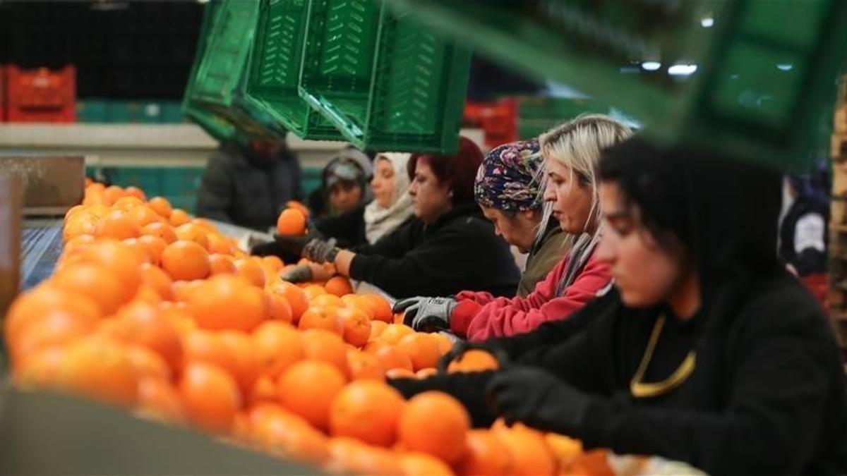 Kadınların ihracattaki payı rekor seviyede: Yüzde 23,5e yükseldi