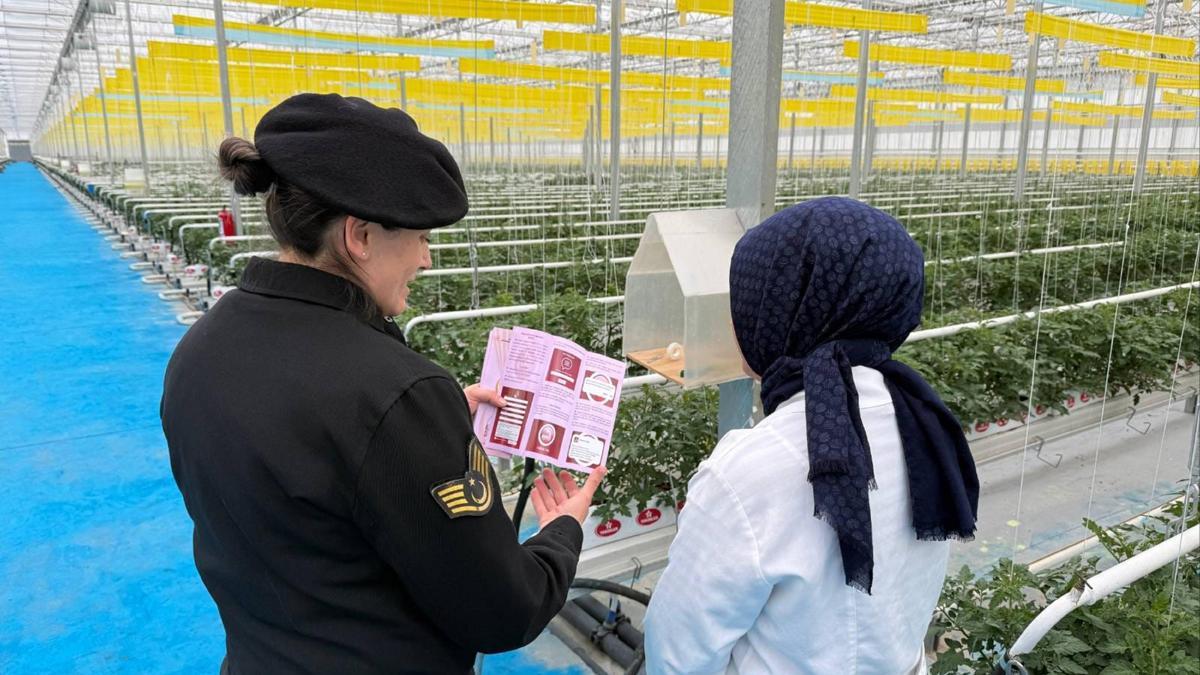 Kadına yönelik şiddetle mücadele çalışması