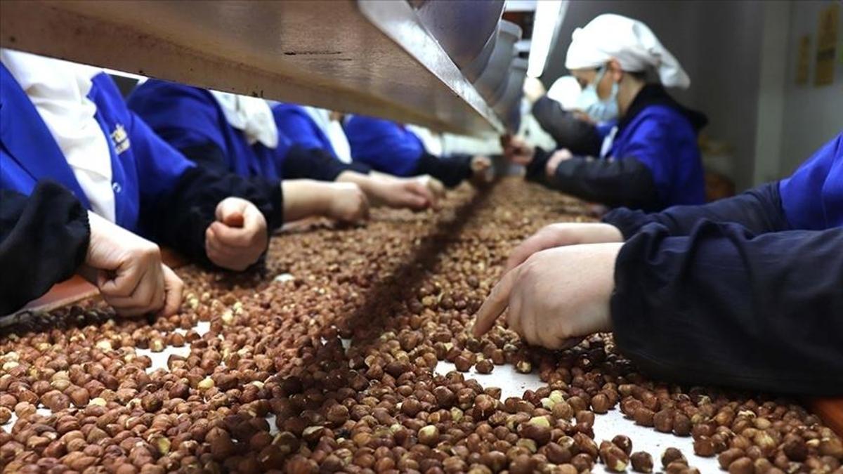 Kadınların ihracattaki gücü artıyor! Zirvede yine Giresun var