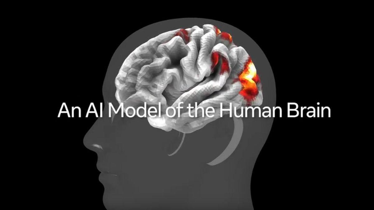 Beynimizin nasıl çalıştığını anlamak için model geliştirdi