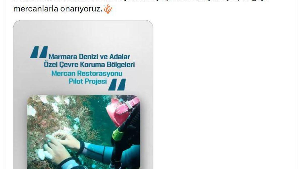 Bakan Kurum: Doğayı mercanlarla onarıyoruz