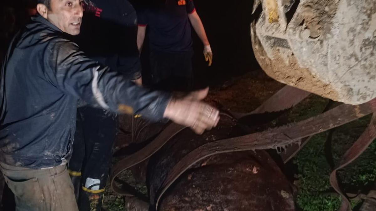 Dicle Nehrine düşen inek, iş makinesiyle kurtarıldı