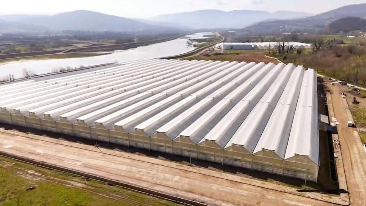 Çaycuma sera OTB üretime başladı: 1,5 milyar liralık yatırım ve 1000 kişiye istihdam