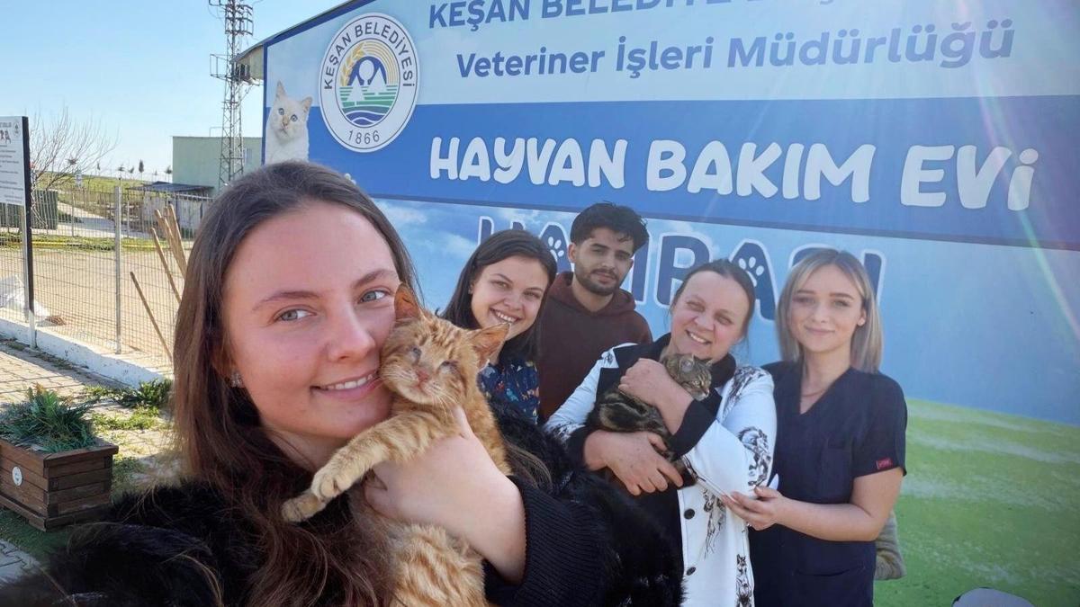 Bakımevinde tedavileri tamamlanan engelli kedileri…