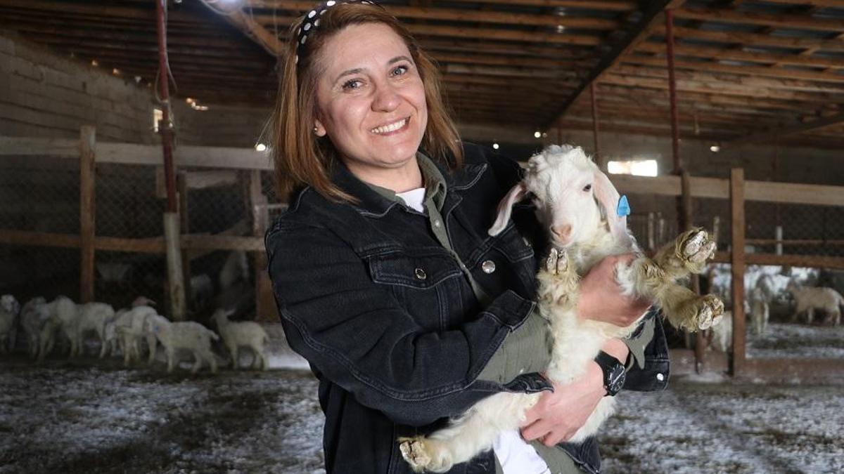 ''Yapamazsın'' dediler dinlemedi! Kariyeri plazada değil keçi ağılında!