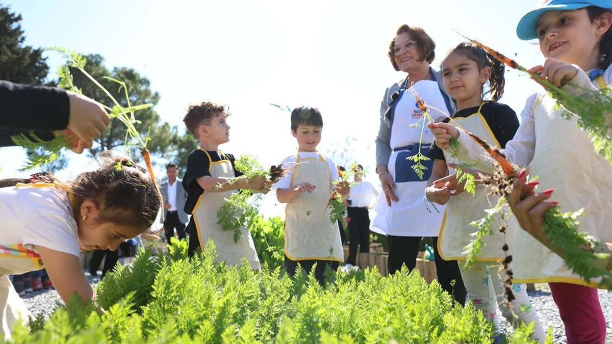 Didim'de minikler önce marul dikti, sonra hasat etti