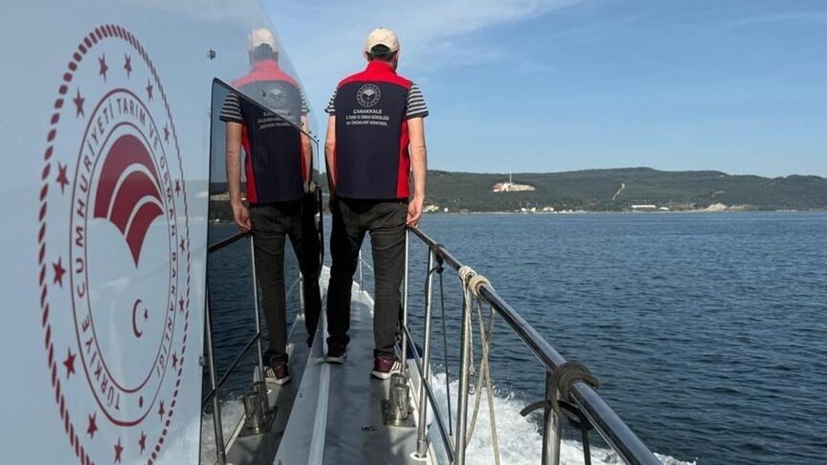 Türkiye su ürünlerinde rekor kırdı: Üretim 1 milyon tonu aştı, ihracat 2,24 milyar dolar