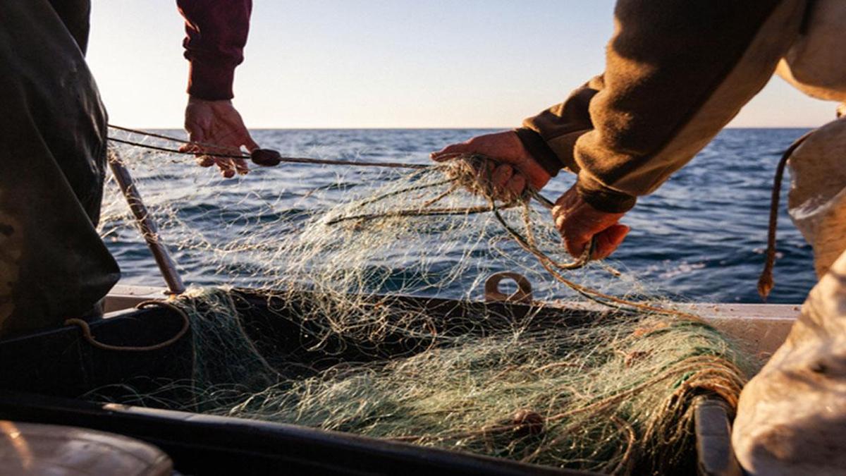 AV YASAĞI NE ZAMAN BAŞLIYOR, BUGÜN MÜ? 2026 Av Yasağı Ne Zaman Bitecek? Ne Zamana Kadar Avlanma Yasak?