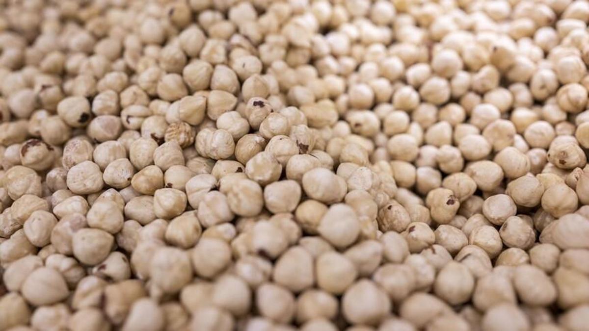 Doğu Karadeniz fındık ihracatında 378 milyon doları aştı