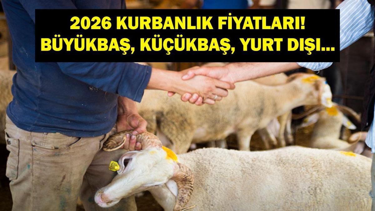 2026 KURBANLIK FİYATLARI: Büyükbaş, Küçükbaş Kurbanlık Fiyatları Ne Kadar? Büyükbaş Hisse Fiyatı Ne? Yurt Dışı Kurban Bağışı Ne Kadar?