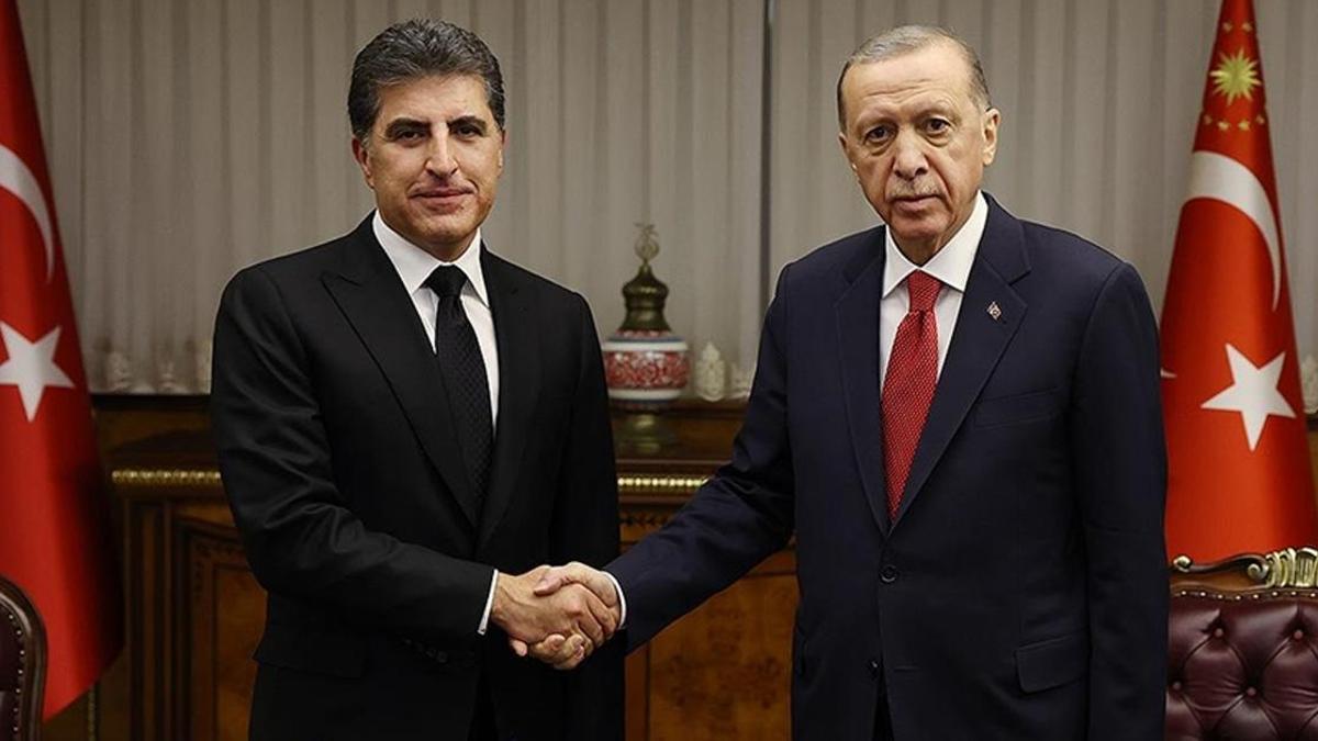 Cumhurbaşkanı Erdoğan, IKBY Başkanı Barzani ile görüştü