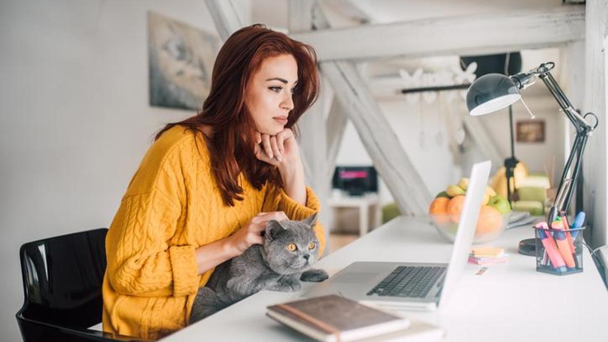 Enerji krizine yönelik AB'den 'evden çalışma' formülü